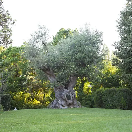 Relais San Martino Hotel